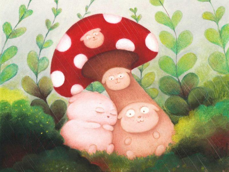 mushroom mushroom